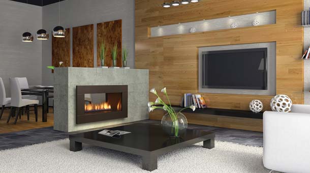 Protech - Gas Fireplaces